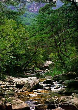 속리산계곡의 여름 (Gyegok(valley) of (Mt.) Songnisan in summer)