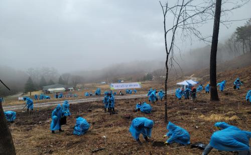 북부지방산림청, 제78회 식목일 기념 나무심기 행사 개최