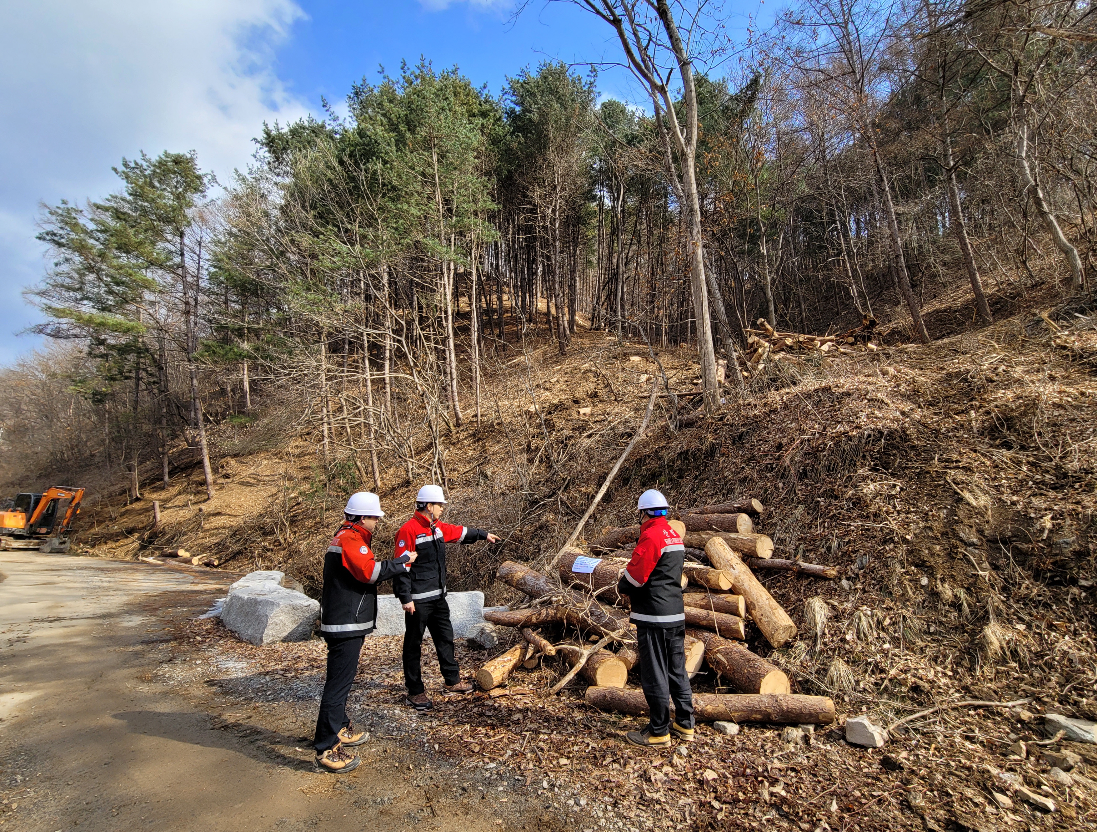 북부지방산림청장, 하반기 소나무재선충병 방제사업장 점검 이미지1