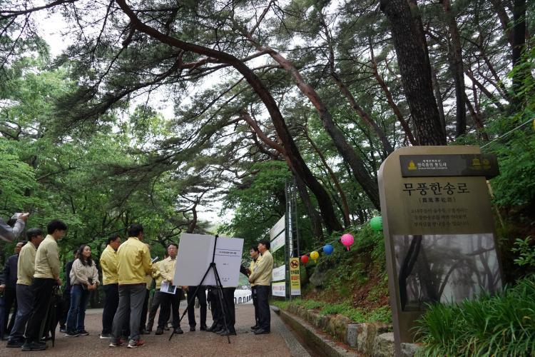 박은식 산림청장, 경남 양산 통도사 방문해 ‘중요 소나무림 보전 방안’ 논의