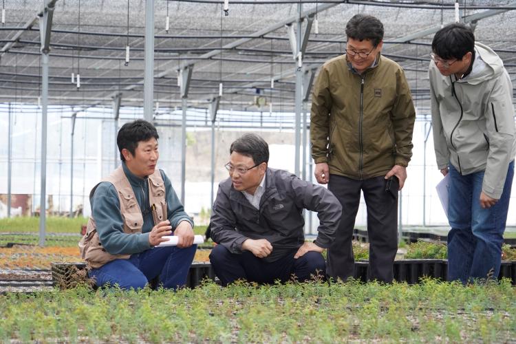 박은식 산림청장, 양묘장 운영실태 현장 점검