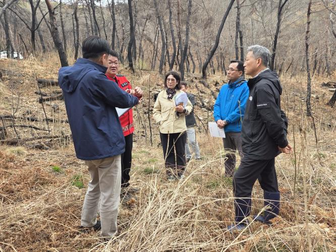 이상익 산림청 산림산업정책국장, 산불피해 임업경영체 현장 점검