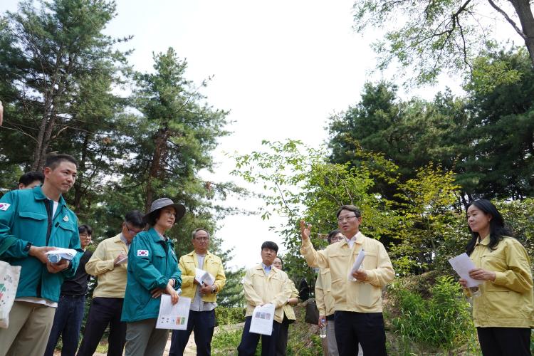 박은식 산림청장, 서울 성북구 소나무재선충병 긴급방제지 현장 점검 실시