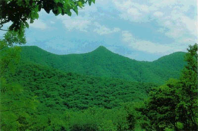 성인봉((Mt. )Seonginbong)