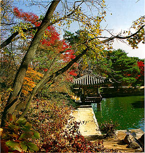 애련정의 가을 (Aeryeonjung(garden) pavilion in the autumn)