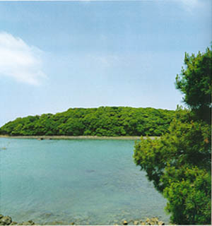 여름가막섬(Gamakseom(island) in summer)