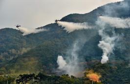 산림청, 산불재난대응 유관기관 합동훈련 실시
