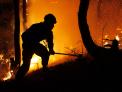 산림분야 일자리 창출을 통한 산불재난 예방·대응 강화