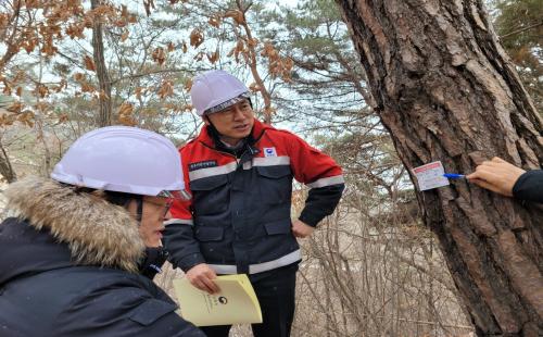 북부지방산림청장, 홍천지역 소나무재선충병 방제사업장 집중점검