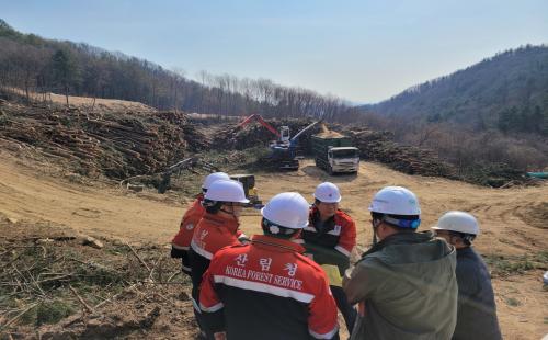 북부지방산림청장, 양평지역 소나무재선충병 방제사업장 집중점검