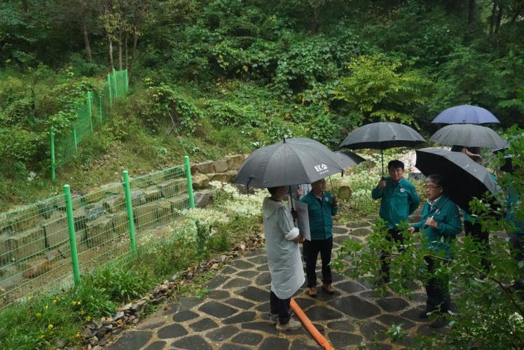 임상섭 산림청장, 9.20 ? 9.22일 집중호우 대비 울주 산사태 복구지 현장 점검